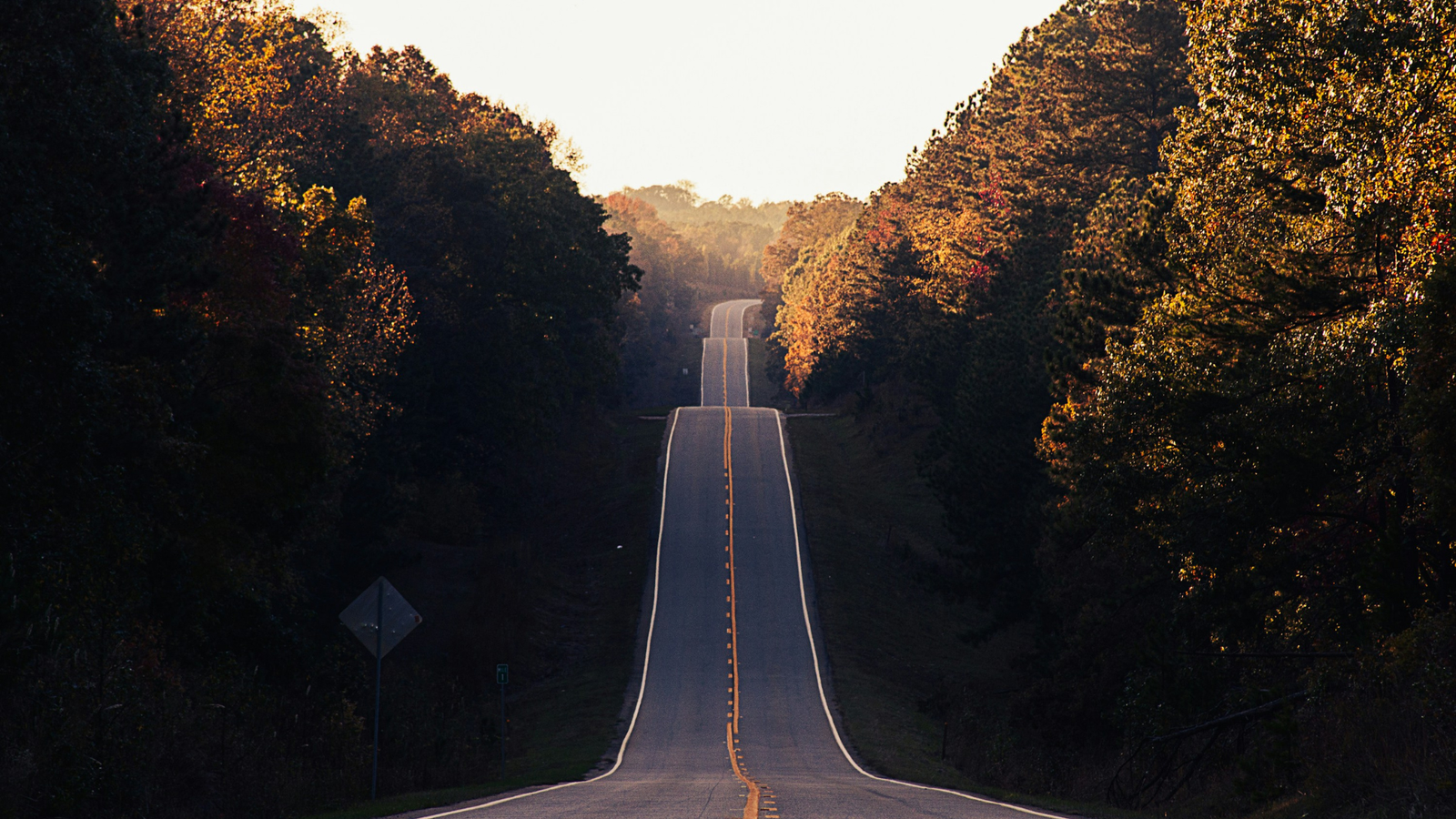 A road going off into the distance.